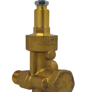 NEMA GOVERNOR VALVE | Air Compressor